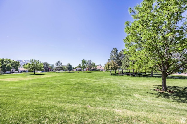 2039 W Camelot S, West Jordan, UT 84084 - surrounding community with a yard