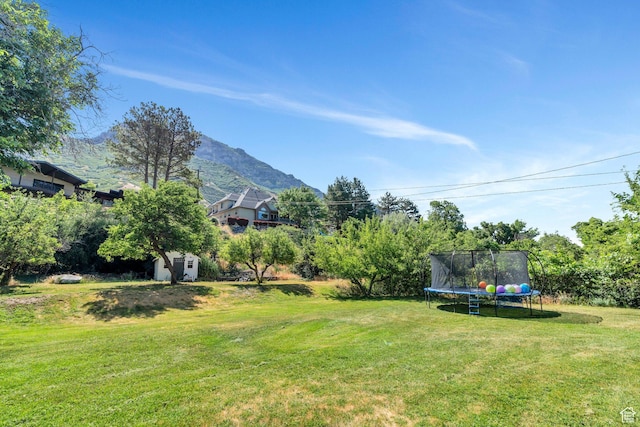2040 N Oakcrest Ter, Provo, UT 84604 - view of grassy yard with a trampoline, a shed, and a mountain view