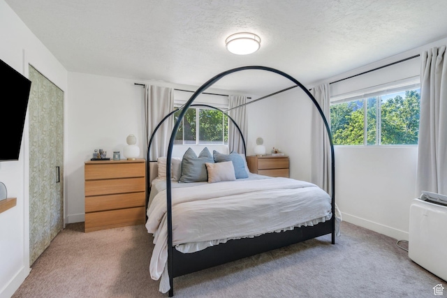 2040 N Oakcrest Ter, Provo, UT 84604 - bedroom with multiple windows, carpet flooring, and a textured ceiling