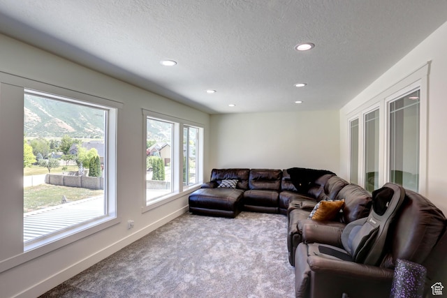 1767 S 800 W, Mapleton, UT 84664 - living room with carpet, recessed lighting, and a textured ceiling