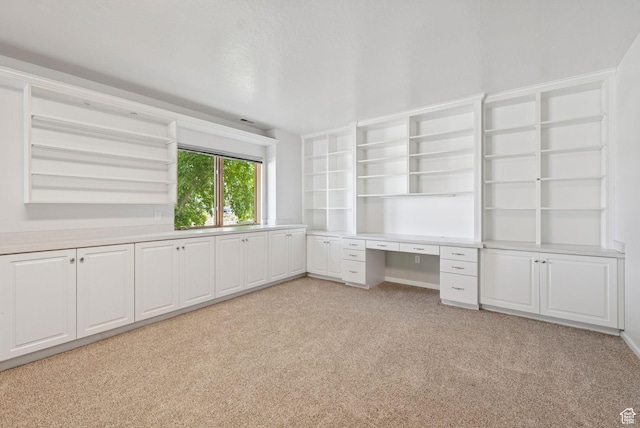 4555 Palomino Dr, Heber City, UT 84032 - unfurnished office featuring light colored carpet and built in study area