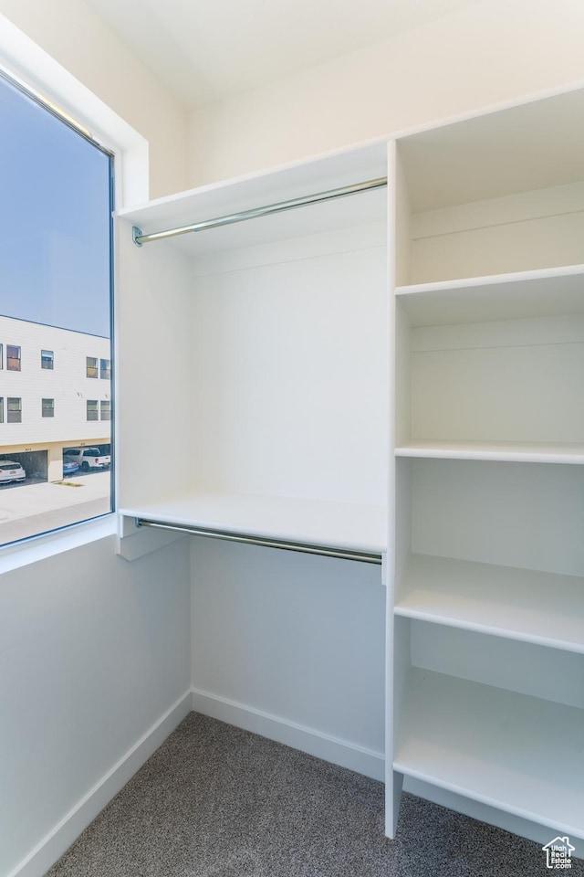 8333 S Iris Lumi Ln W Unit Q304, Midvale, UT 84047 - view of closet