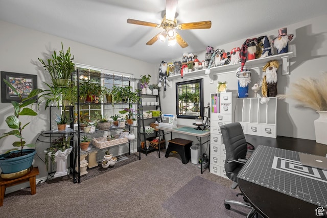 1343 W 870 N, Pleasant Grove, UT 84062 - carpeted office space featuring a ceiling fan