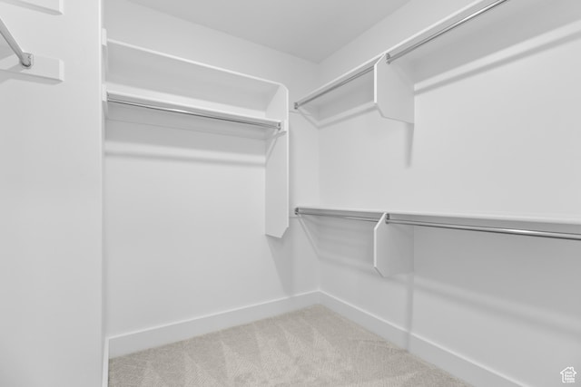 167 N 950 E Unit 30, Tremonton, UT 84337 - walk in closet featuring carpet floors