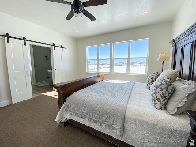 96 W 350 S, Garden City, UT 84028 - bedroom with a barn door, multiple windows, recessed lighting, and a ceiling fan