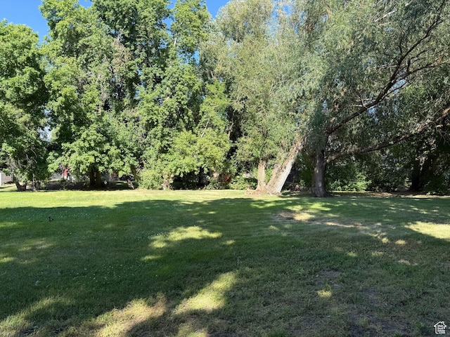 48 S Flint St, Kaysville, UT 84037 - view of grassy yard