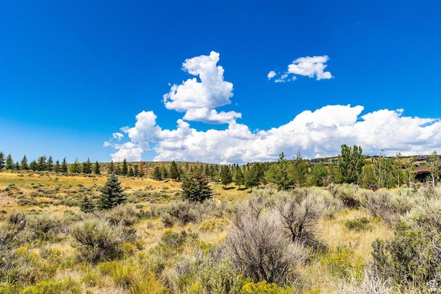 2639 E Westview Trl Unit 45, Park City, UT 84098