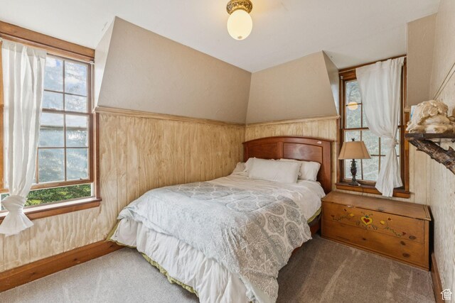 455 E Boulderville Rd, Oakley, UT 84055 - bedroom featuring multiple windows and carpet floors