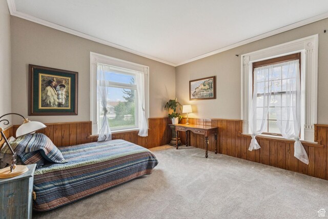 455 E Boulderville Rd, Oakley, UT 84055 - bedroom featuring a wainscoted wall, multiple windows, wooden walls, carpet flooring, and ornamental molding