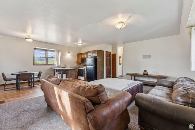 455 E Boulderville Rd, Oakley, UT 84055 - living room with light wood-style flooring and light colored carpet