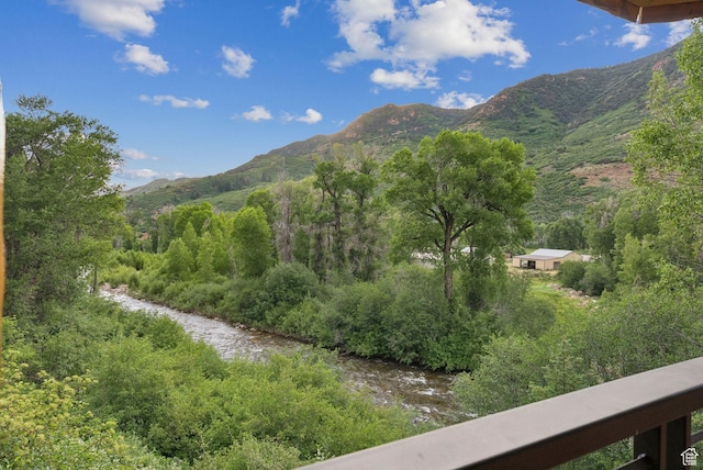 2485 E Weber Wild Rd, Oakley, UT 84055 - photo 34