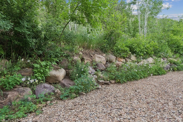 2485 E Weber Wild Rd, Oakley, UT 84055 - photo 109