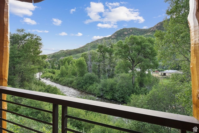2485 E Weber Wild Rd, Oakley, UT 84055 - photo 47