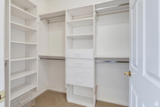 1125 E 740 S, Pleasant Grove, UT 84062 - walk in closet featuring light colored carpet