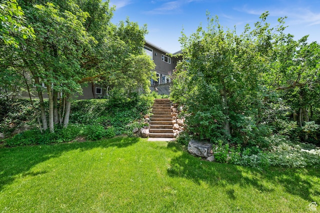 4504 S Abinadi Rd E, Millcreek, UT 84124 - view of grassy yard featuring stairs
