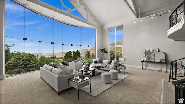 4504 S Abinadi Rd E, Millcreek, UT 84124 - living area with high vaulted ceiling, rail lighting, carpet floors, and a mountain view