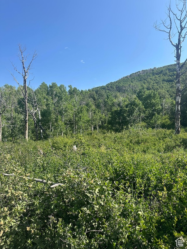 Unit K49, Fairview, UT 84629