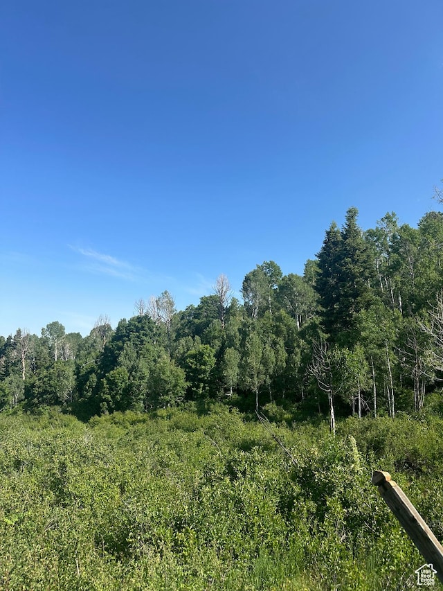 Unit K49, Fairview, UT 84629