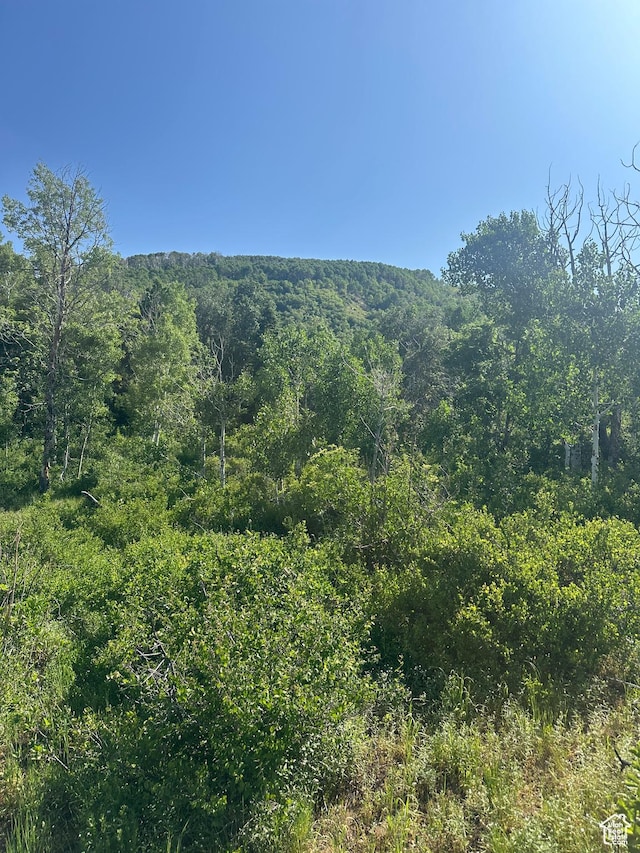 Unit K49, Fairview, UT 84629