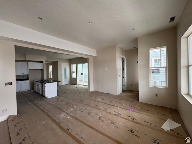 835 S 950 W Unit 124, Springville, UT 84663 - unfurnished living room with healthy amount of natural light