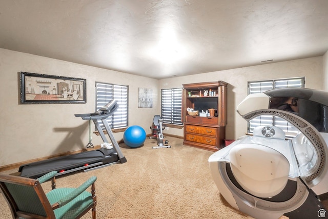 11273 S Alisa Meadows Dr, South Jordan, UT 84095 - exercise room featuring carpet and baseboards