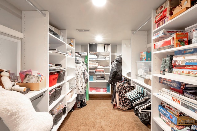 11273 S Alisa Meadows Dr, South Jordan, UT 84095 - view of storage