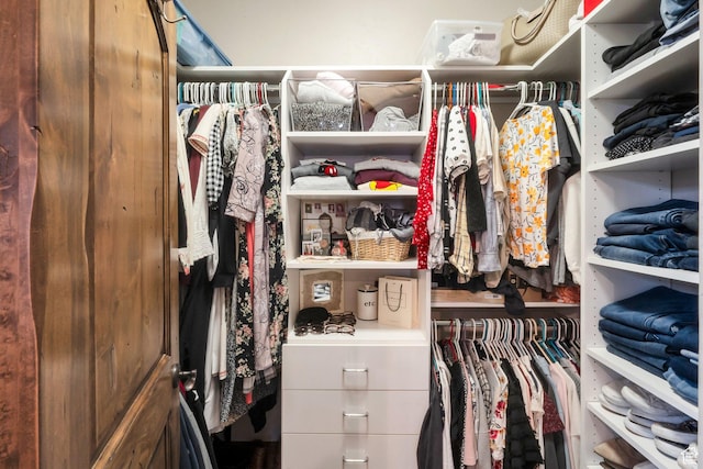 11273 S Alisa Meadows Dr, South Jordan, UT 84095 - view of spacious closet