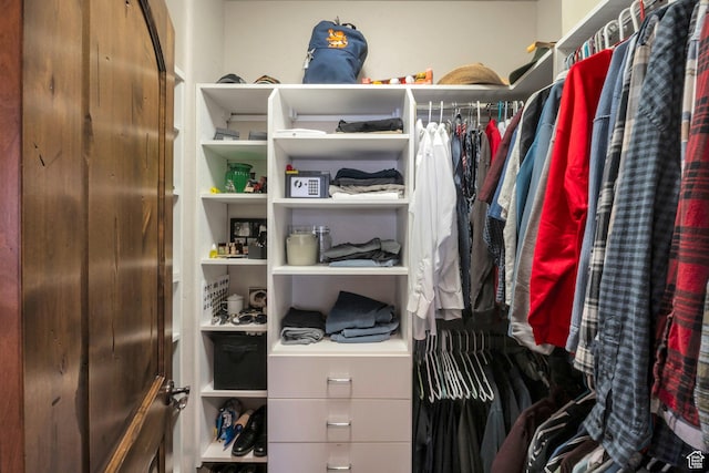 11273 S Alisa Meadows Dr, South Jordan, UT 84095 - view of spacious closet