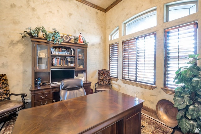 11273 S Alisa Meadows Dr, South Jordan, UT 84095 - office space featuring ornamental molding and a high ceiling