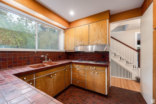 116 S University St E, Salt Lake City, UT 84102 - kitchen with tile counters, under cabinet range hood, and backsplash