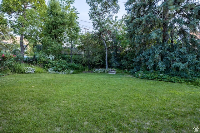 116 S University St E, Salt Lake City, UT 84102 - view of green lawn
