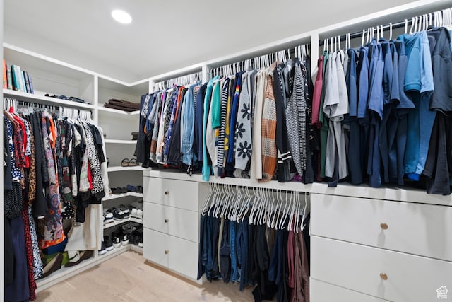 5223 S Hillsden Dr, Holladay, UT 84117 - view of spacious closet