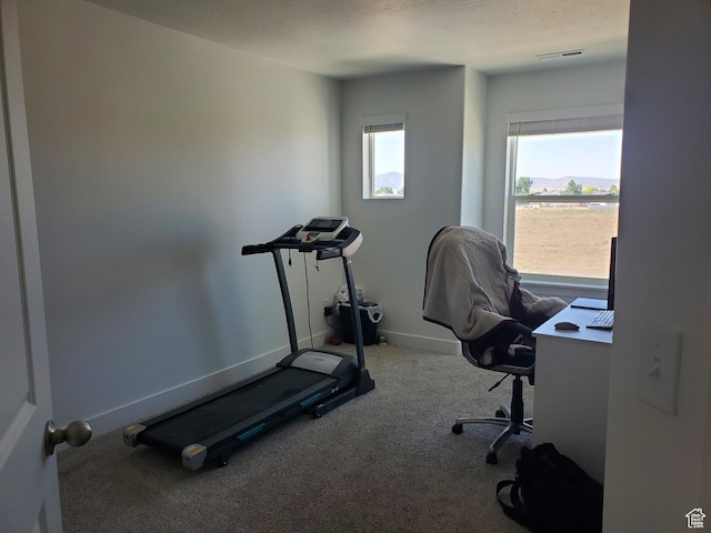 1082 E Springwater Way Unit 812, Eagle Mountain, UT 84005 - exercise area featuring carpet and baseboards