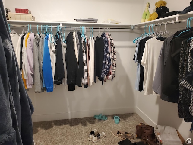 1082 E Springwater Way Unit 812, Eagle Mountain, UT 84005 - walk in closet with carpet