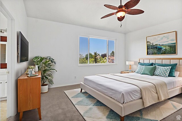 913 E Spiers Ln, Draper, UT 84020 - photo 20