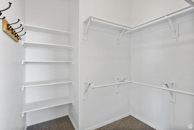 913 E Spiers Ln, Draper, UT 84020 - photo 27