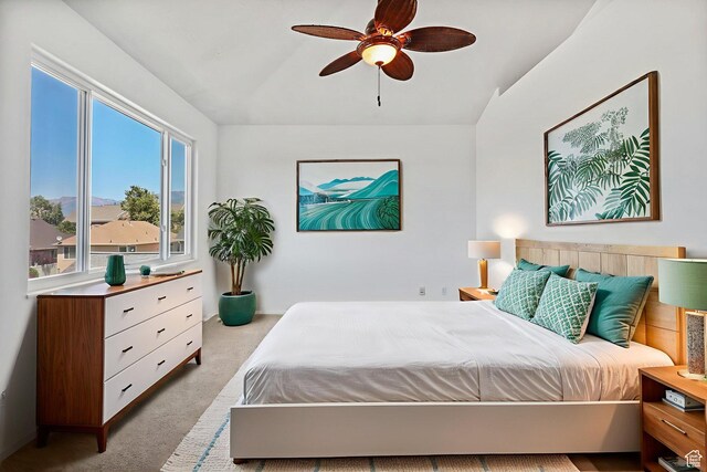 913 E Spiers Ln, Draper, UT 84020 - photo 21