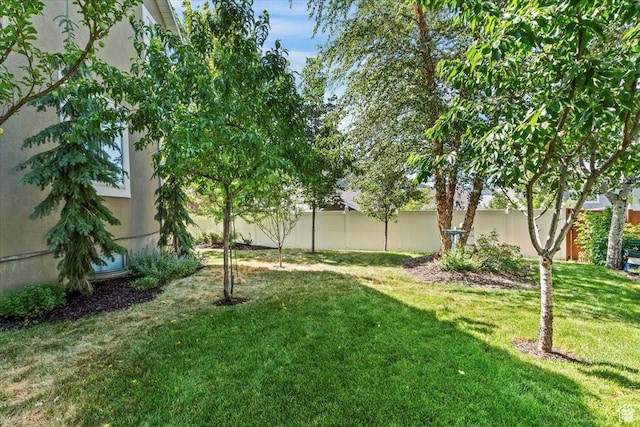 11571 S Lexington Hills Cir E, Sandy, UT 84092 - view of fenced backyard
