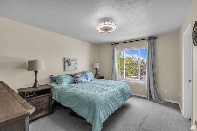 18567 W Jefferson Ave N, Cedar Valley, UT 84013 - photo 10