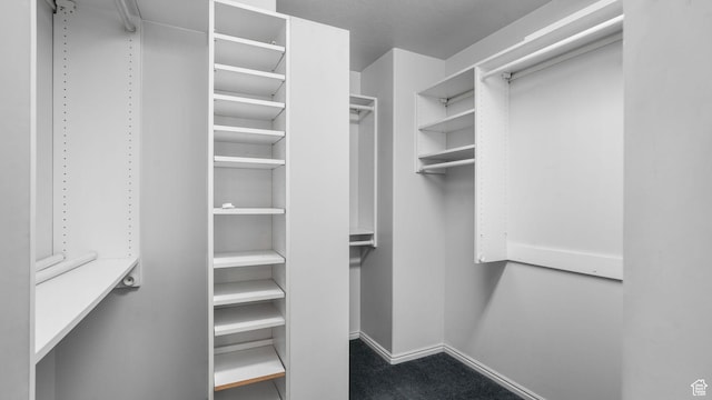 6320 S Hathaway St, Taylorsville, UT 84123 - spacious closet featuring carpet flooring