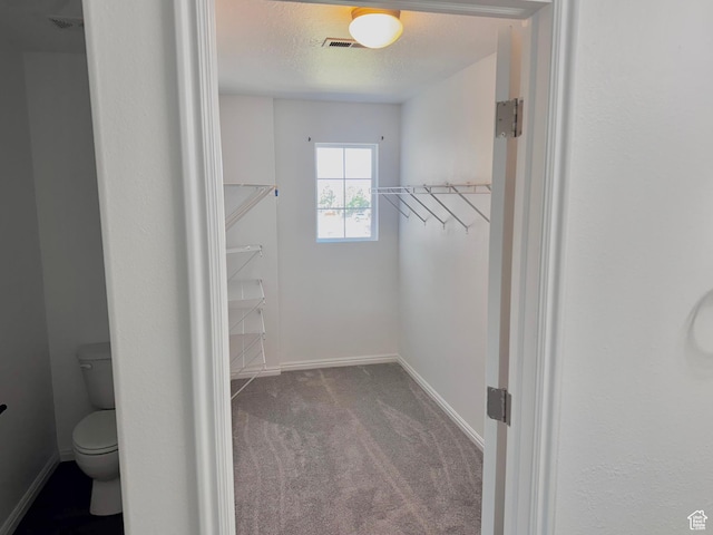 2061 Revere Way, Eagle Mountain, UT 84005 - spacious closet with carpet floors