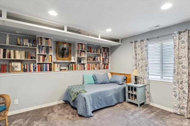 801 W Harrisville Rd N Unit 14, Ogden, UT 84404 - bedroom with carpet floors and recessed lighting