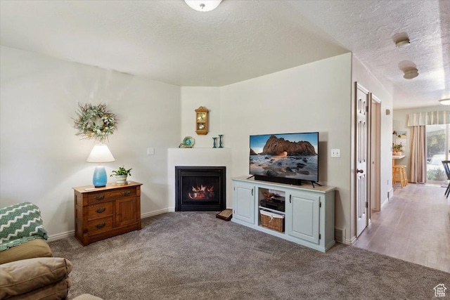 801 W Harrisville Rd N Unit 14, Ogden, UT 84404 - carpeted living room featuring a textured ceiling and a lit fireplace