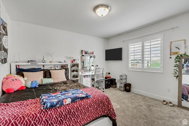 6882 N Snively Ct, Stansbury Park, UT 84074 - photo 26