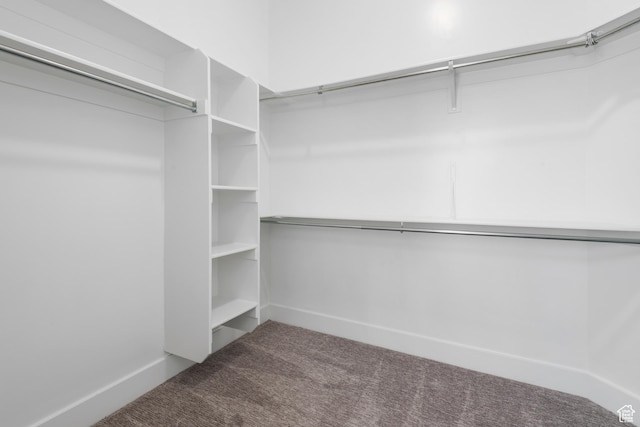 520 Lacey Way N, Salt Lake, UT 84054 - spacious closet featuring carpet flooring