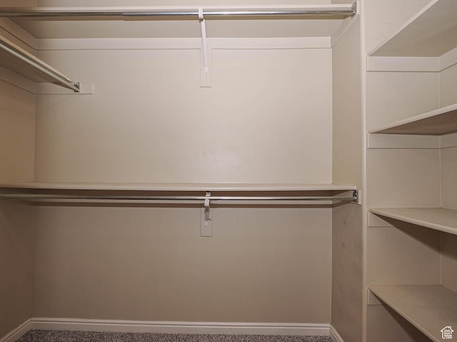 6900 S Village Haven Ln W, Midvale, UT 84047 - view of spacious closet
