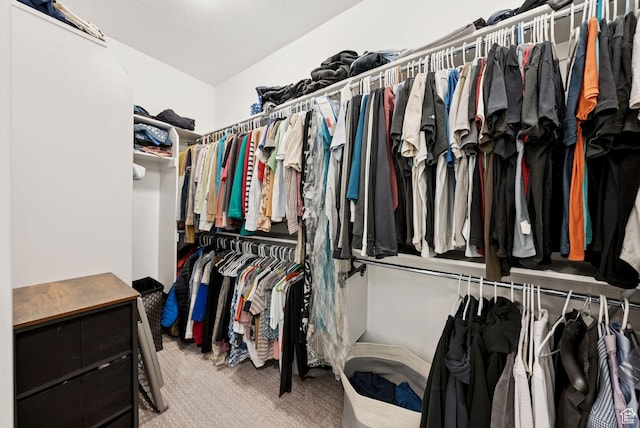 520 S Orchard Dr Unit 1, Bountiful, UT 84010 - walk in closet featuring carpet