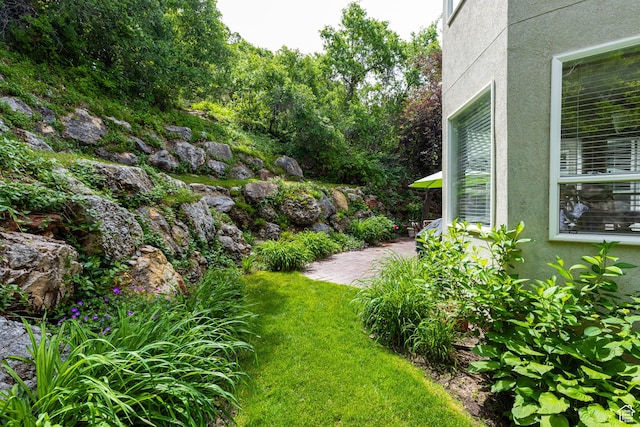561 S Woodland Dr E, Farmington, UT 84025 - view of yard