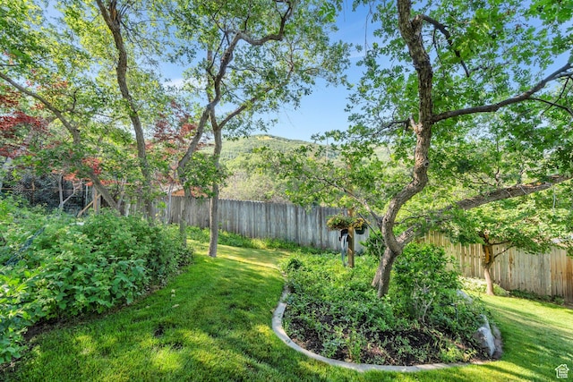 2173 S 1150 E, Bountiful, UT 84010 - fenced backyard with a mountain view