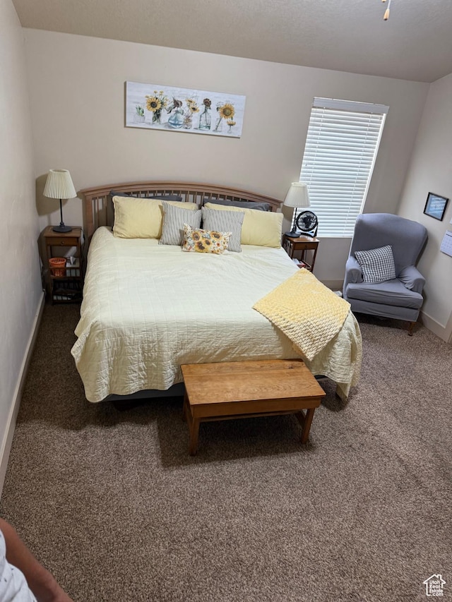 4257 W Lake Bridge Dr S, South Jordan, UT 84009 - bedroom with carpet flooring
